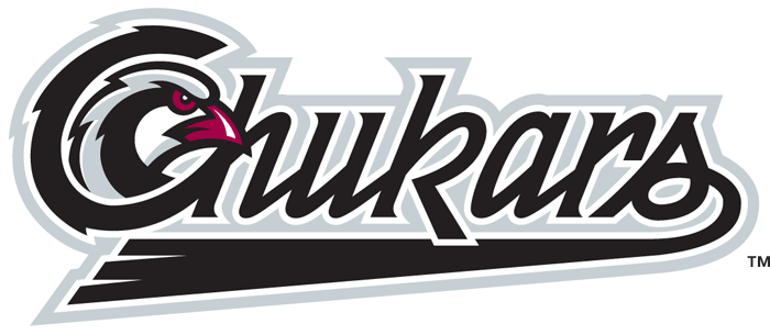 Idaho Falls Chukars 2004-Pres Wordmark Logo iron on paper